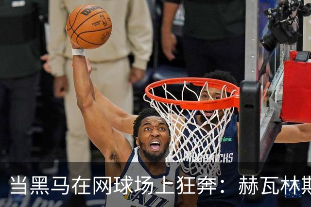 当黑马在网球场上狂奔：赫瓦林斯卡与卡塔尔争冠之战